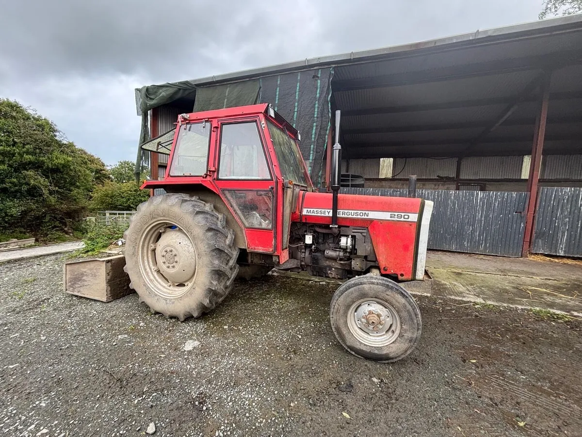 Massey Ferguson 290 - Image 1