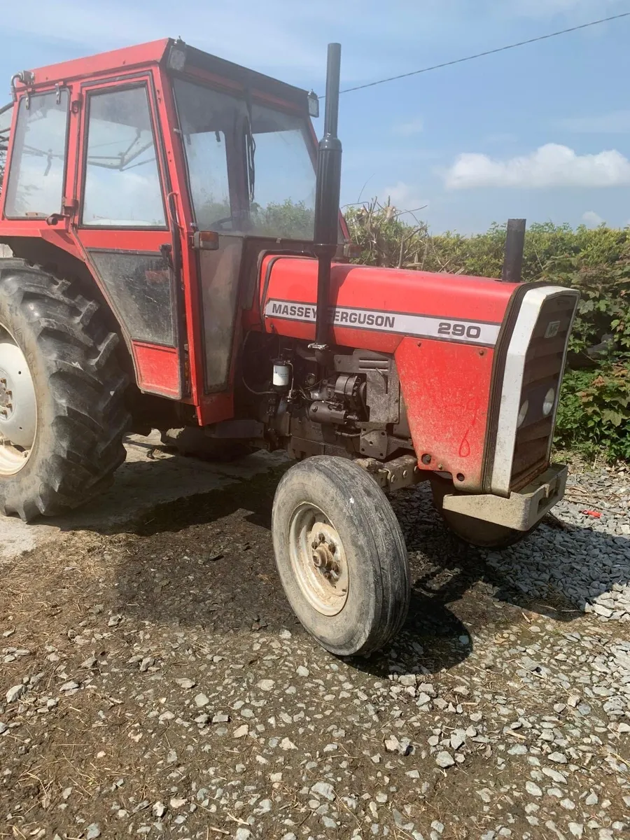 Massey Ferguson 290 - Image 2