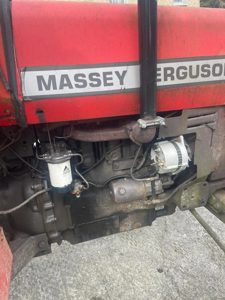 Massey Ferguson 290 - Image 3