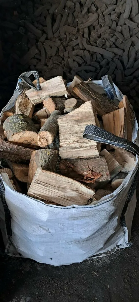 Firewood - Image 2