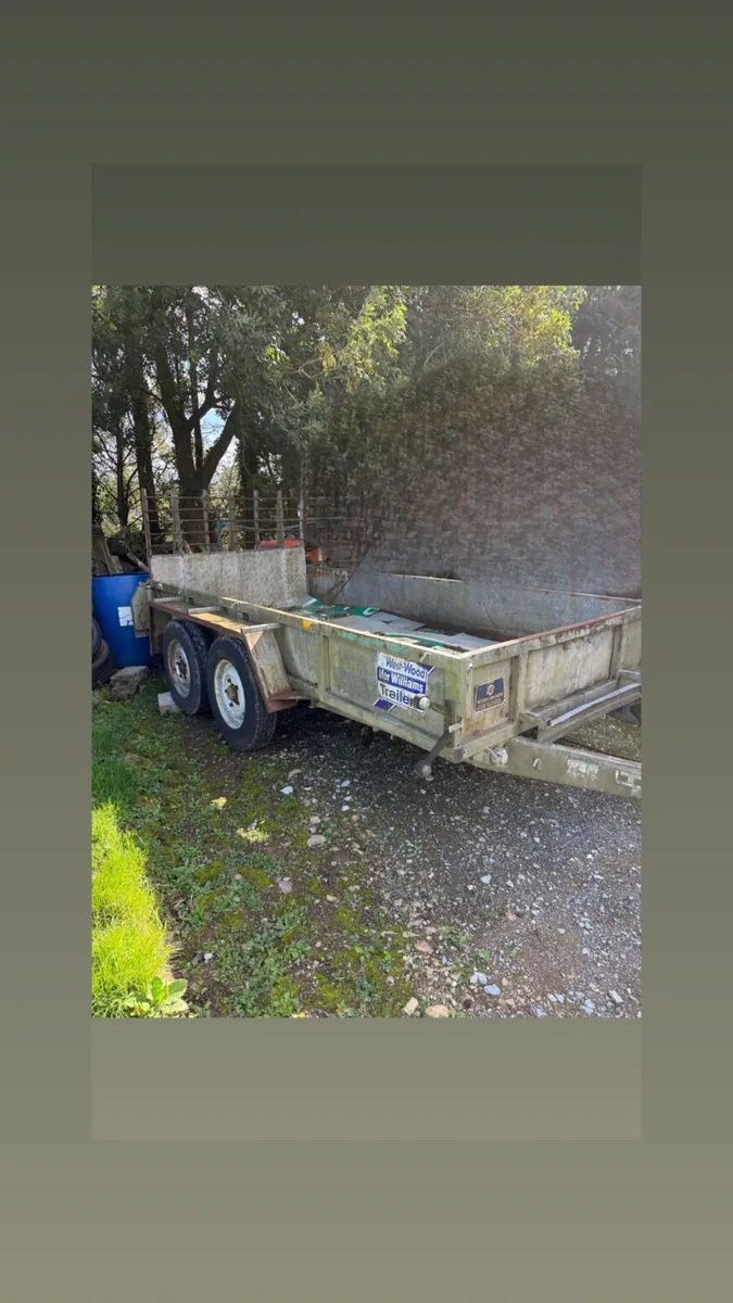 Ifor Williams 12x5.5ft plant - Image 1