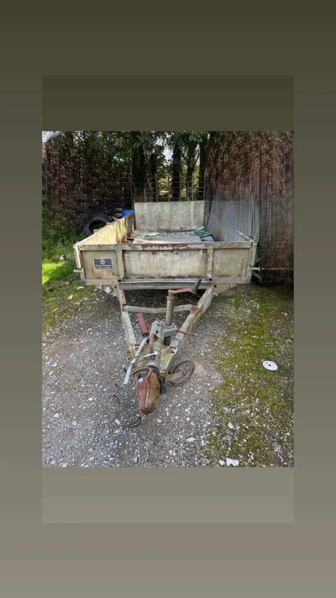 Ifor Williams 12x5.5ft plant - Image 2