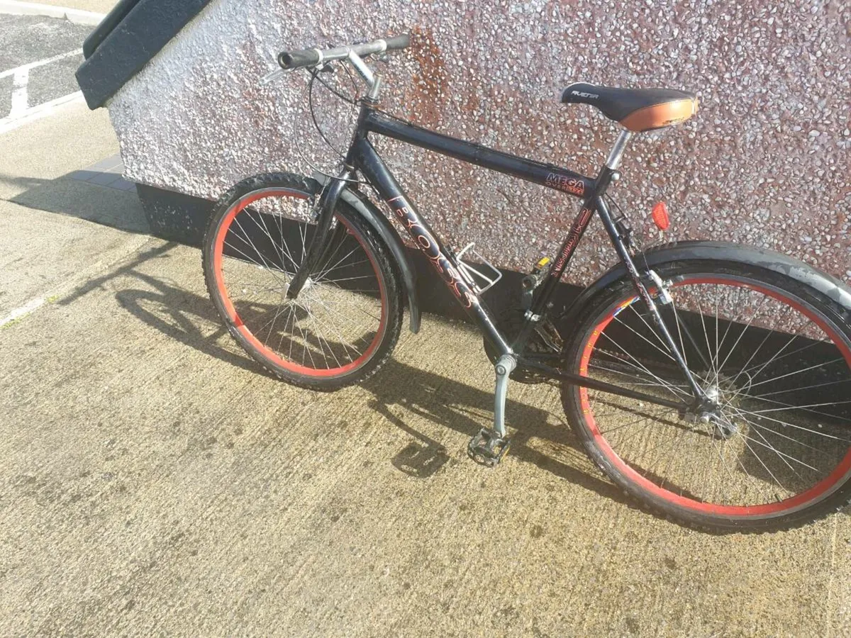 ADULTS BIKE - Image 2