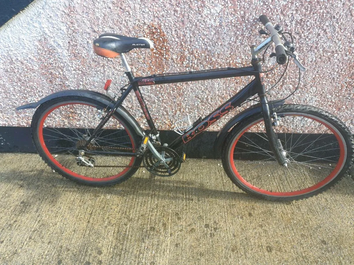 ADULTS BIKE - Image 1