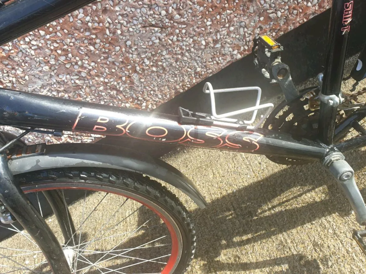 ADULTS BIKE - Image 3