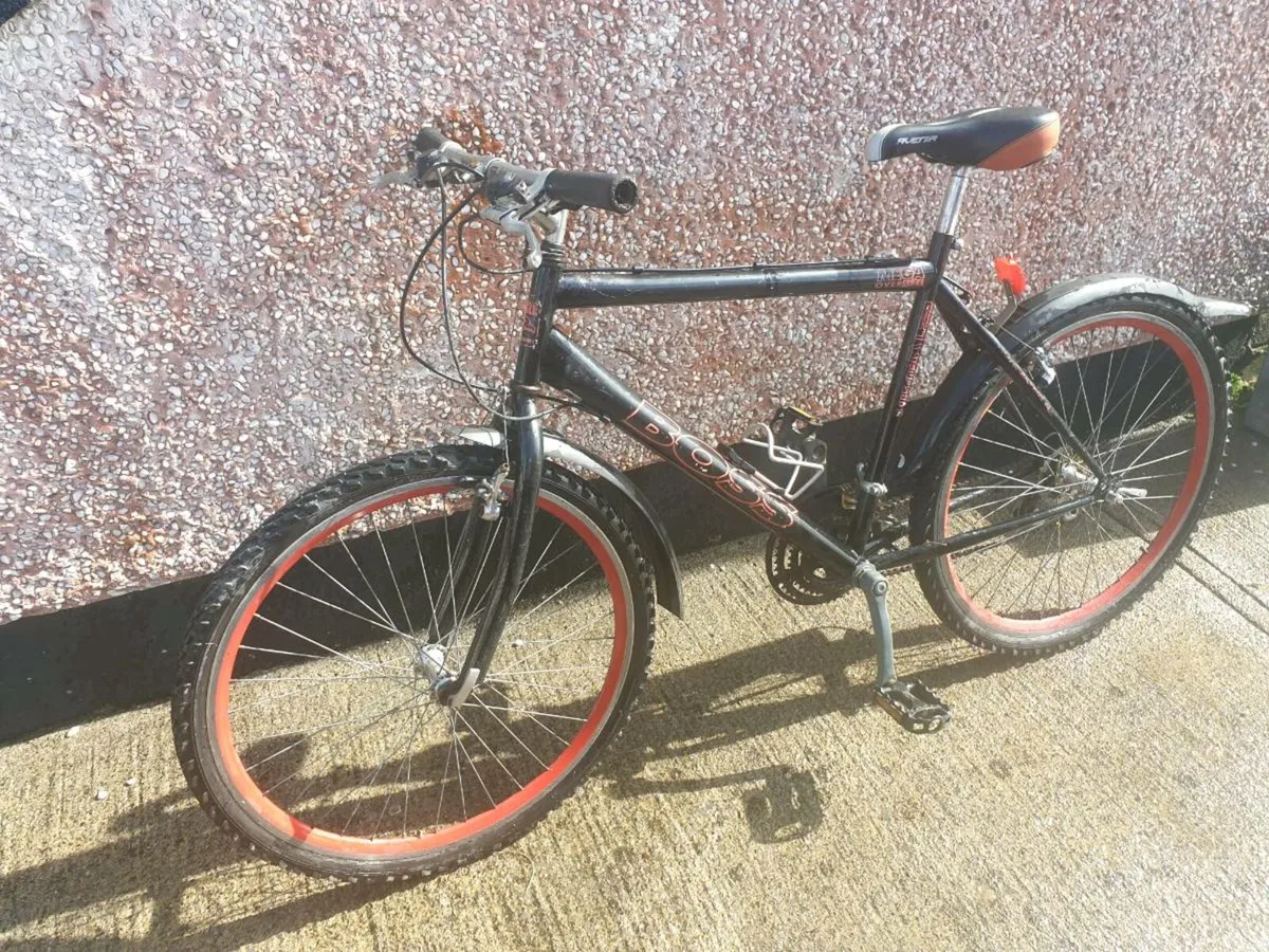 ADULTS BIKE - Image 4