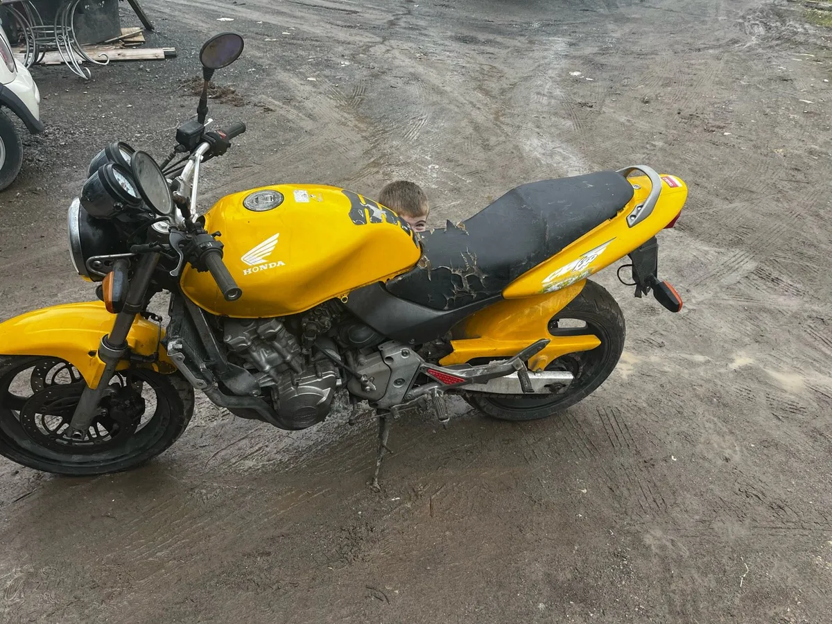 Honda 600 - Image 2