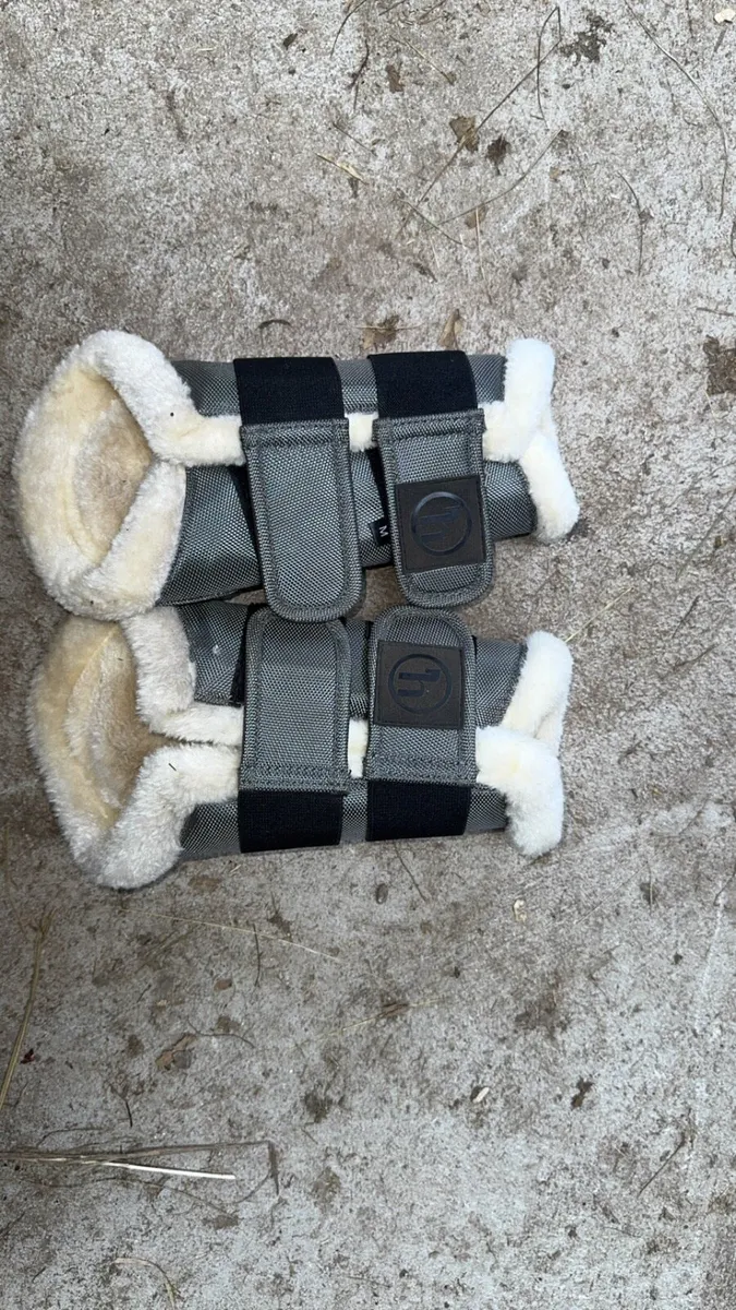 Brushing boots - Image 1