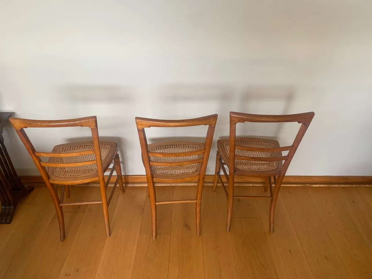 Three beautiful 20th century hall chairs - Image 1