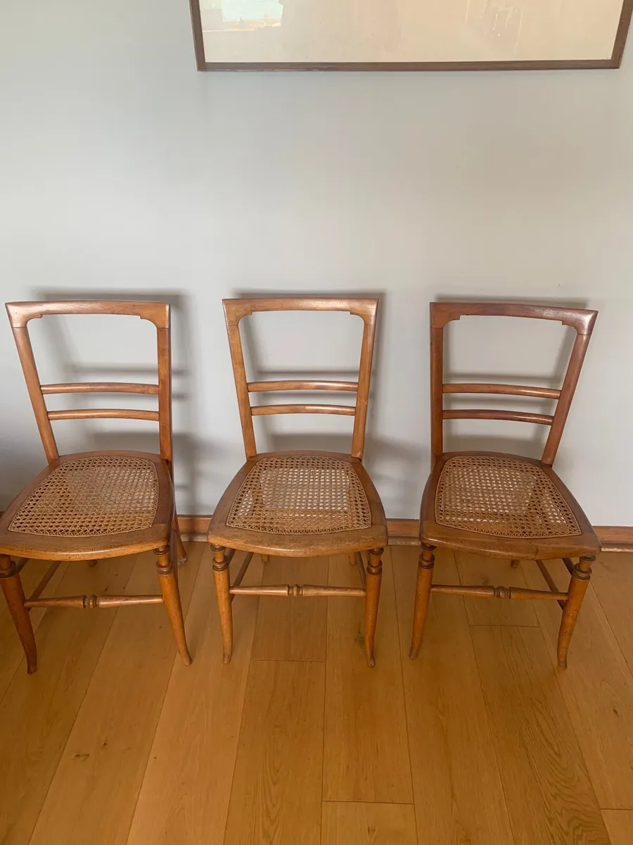 Three beautiful 20th century hall chairs - Image 2