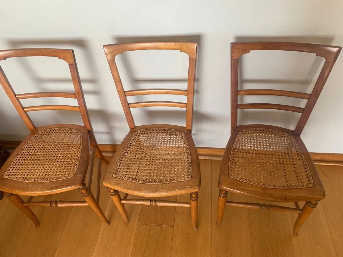 Three beautiful 20th century hall chairs - Image 3
