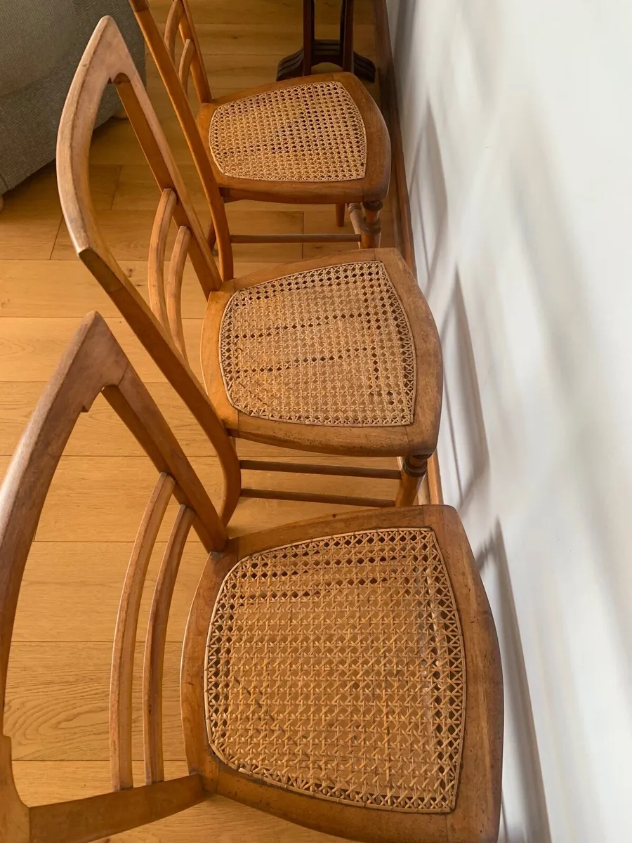 Three beautiful 20th century hall chairs - Image 4