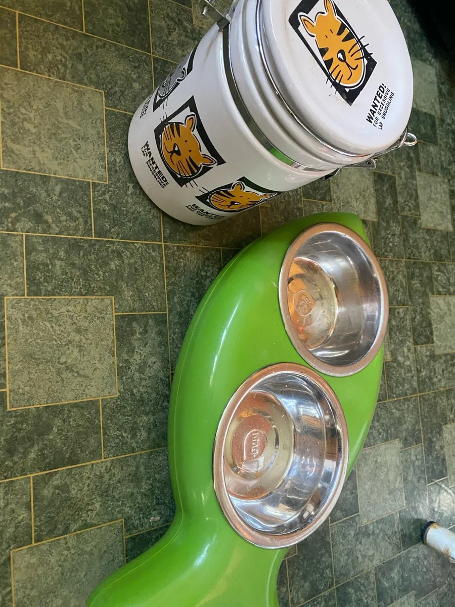 Cat accessories - Image 2