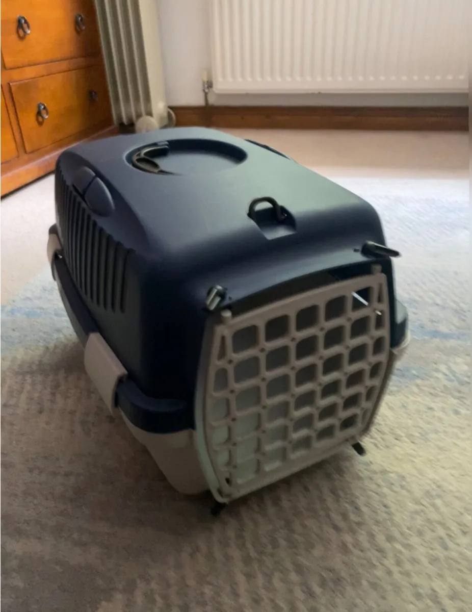 Cat accessories - Image 1