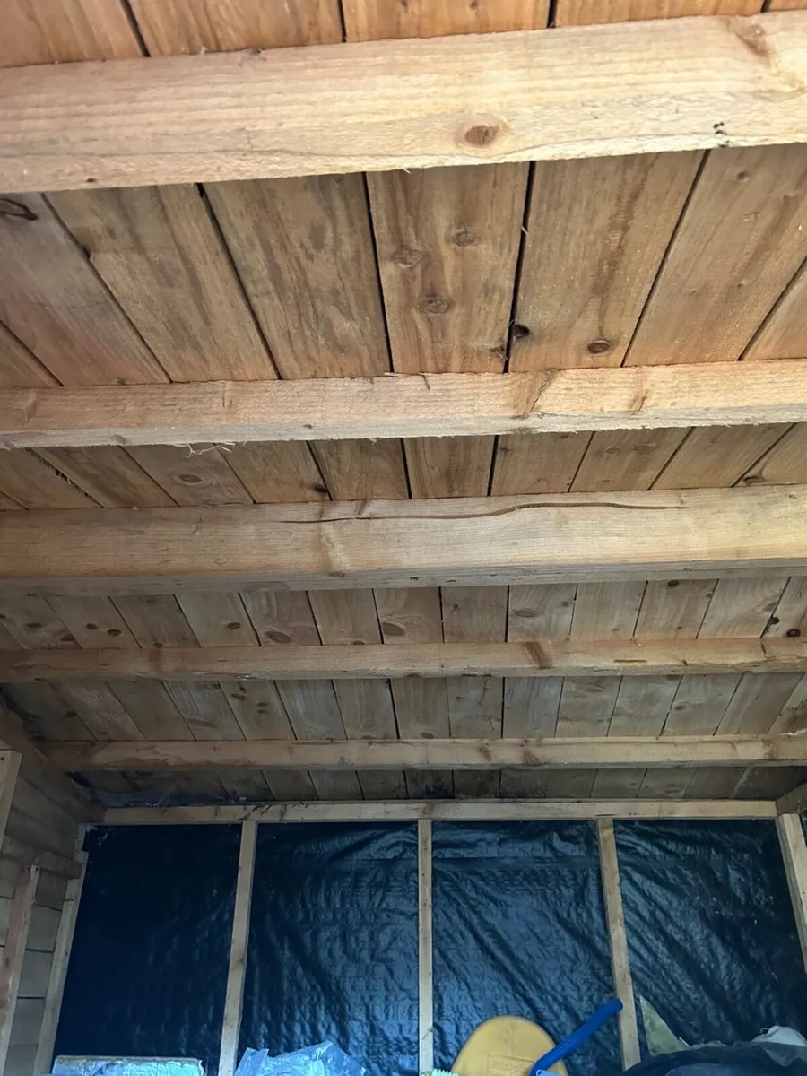 Shed - Image 2
