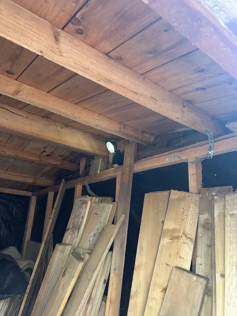 Shed - Image 3