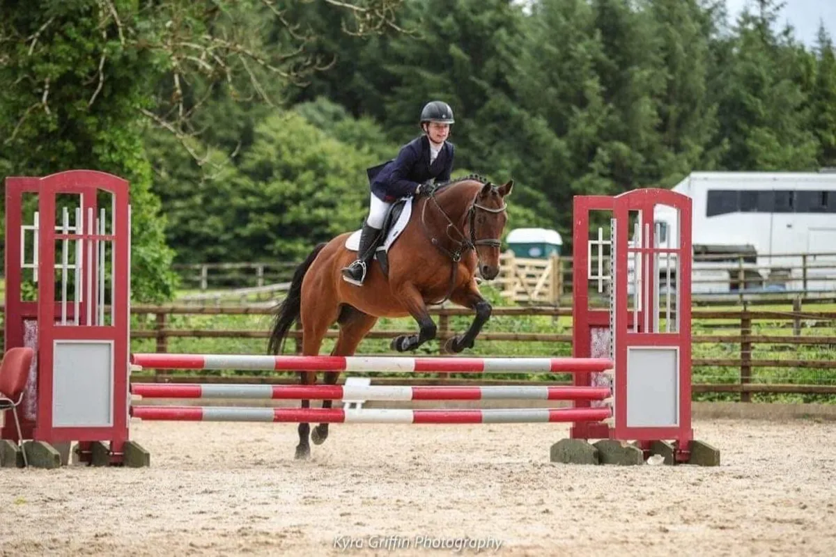 Experienced All Rounder - Image 3