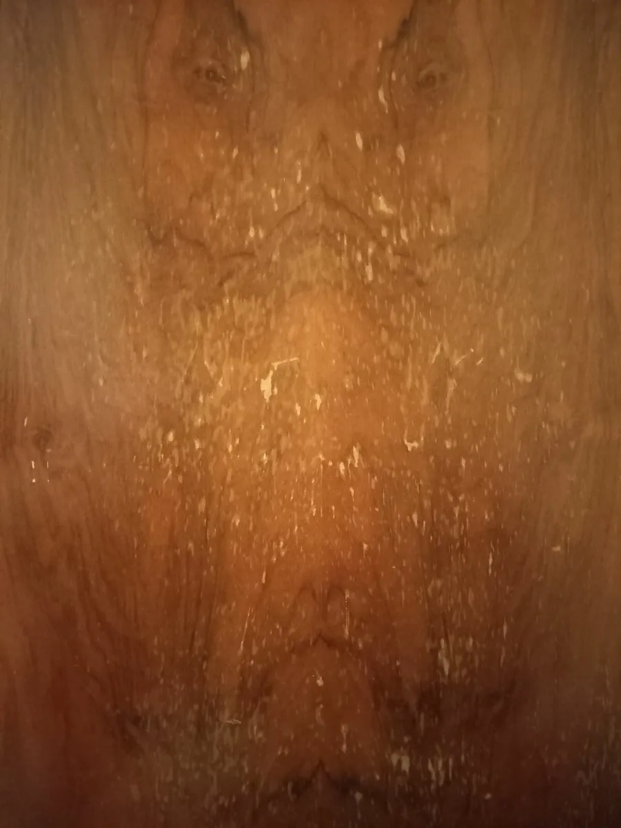 Walnut Wardrobe - Image 3