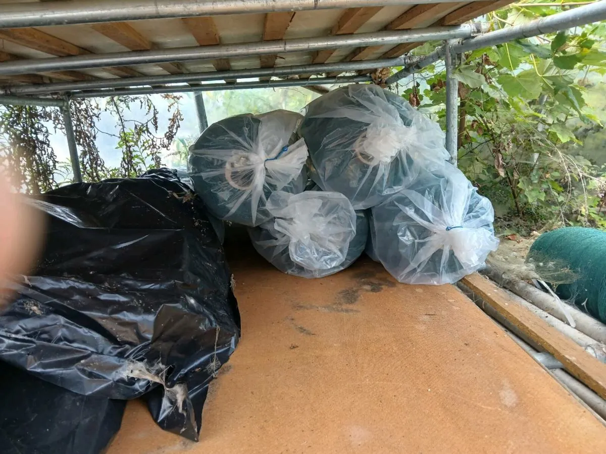 Bird netting- trade only - Image 1