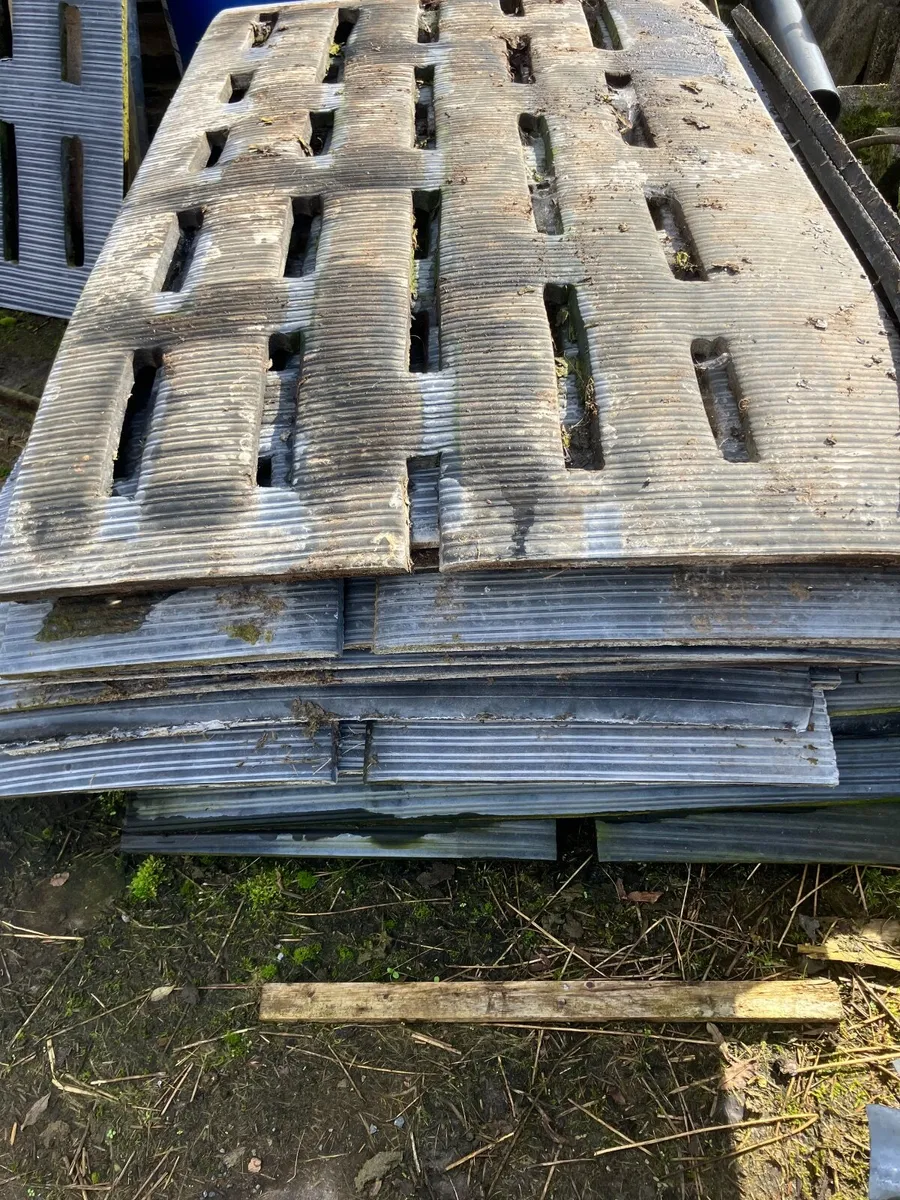 20 gang cattle slats - Image 4