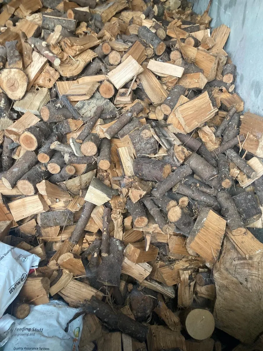 Firewood - Image 2