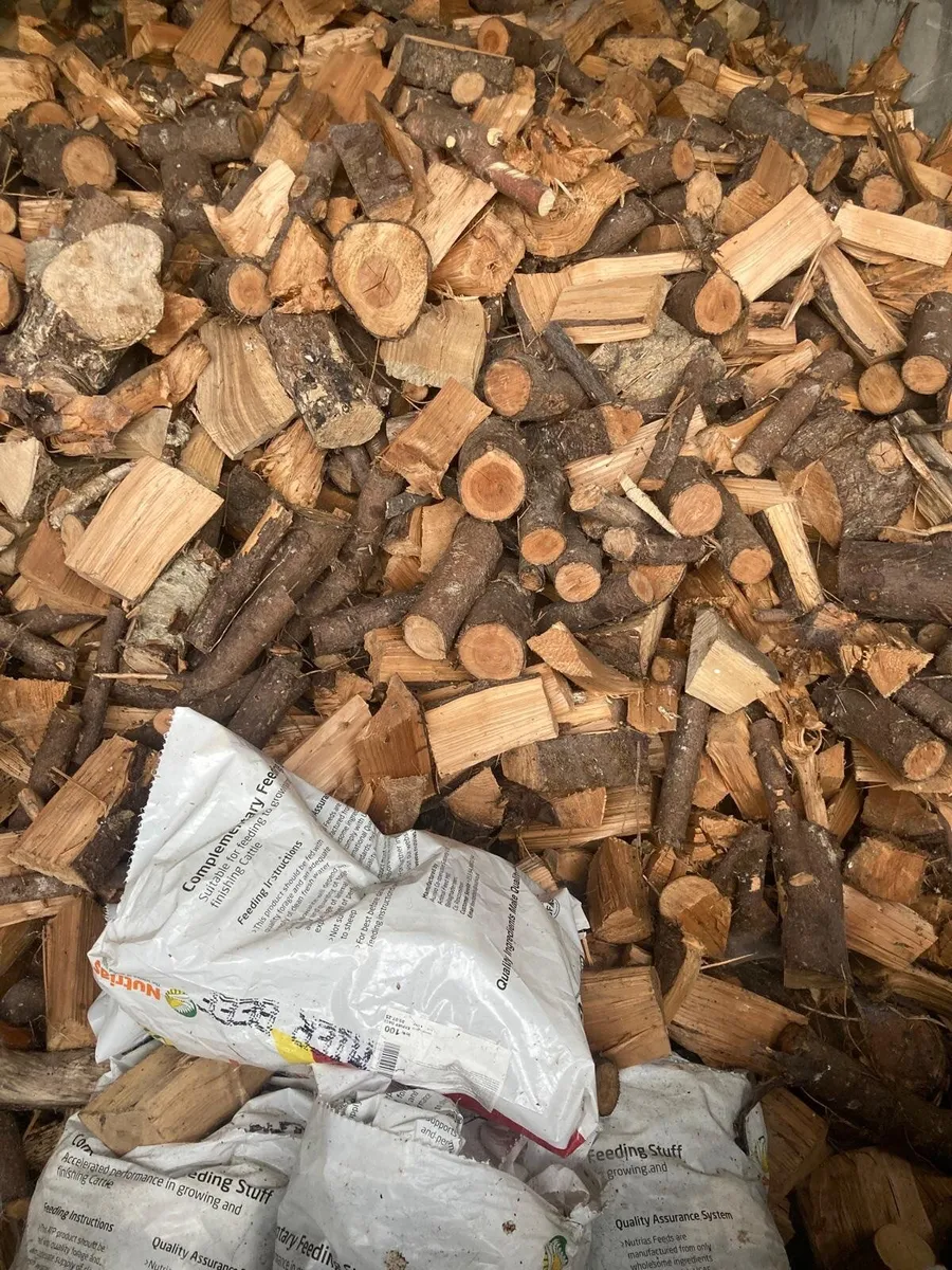 Firewood - Image 3