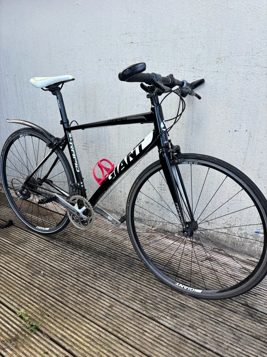 Giant rapid 4 M size - Image 2