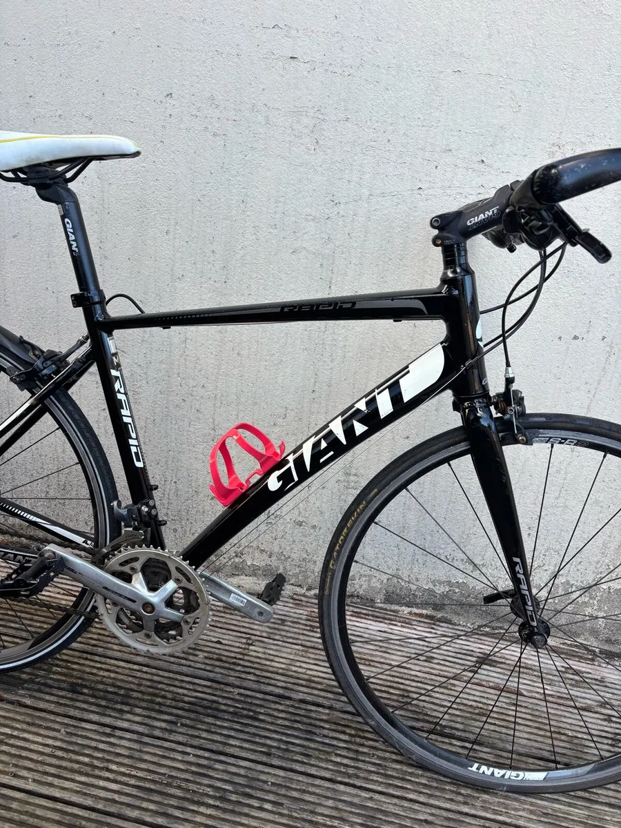 Giant rapid 4 M size - Image 3