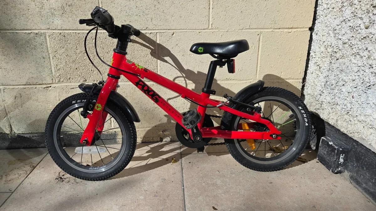 Frog bike 40' - Image 1