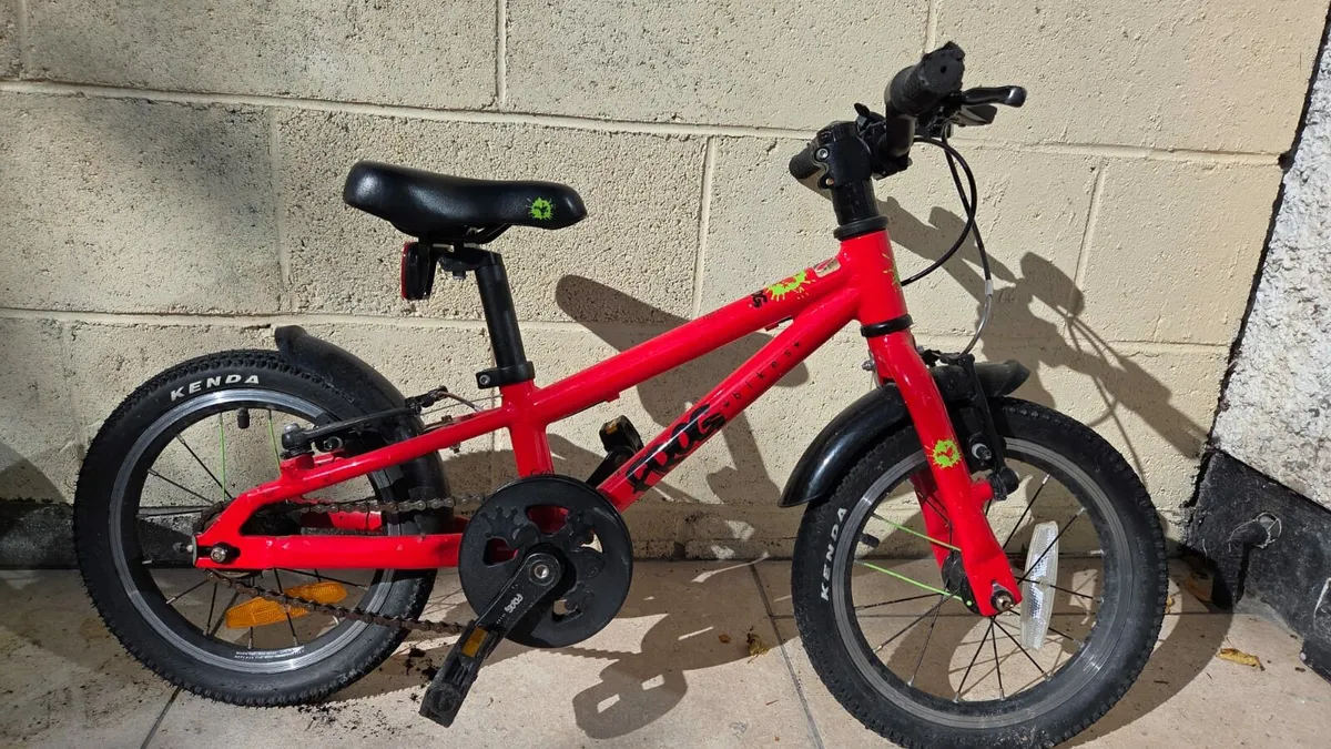 Frog bike 40' - Image 2
