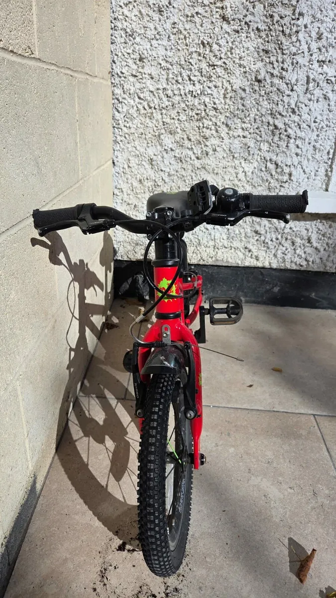 Frog bike 40' - Image 3
