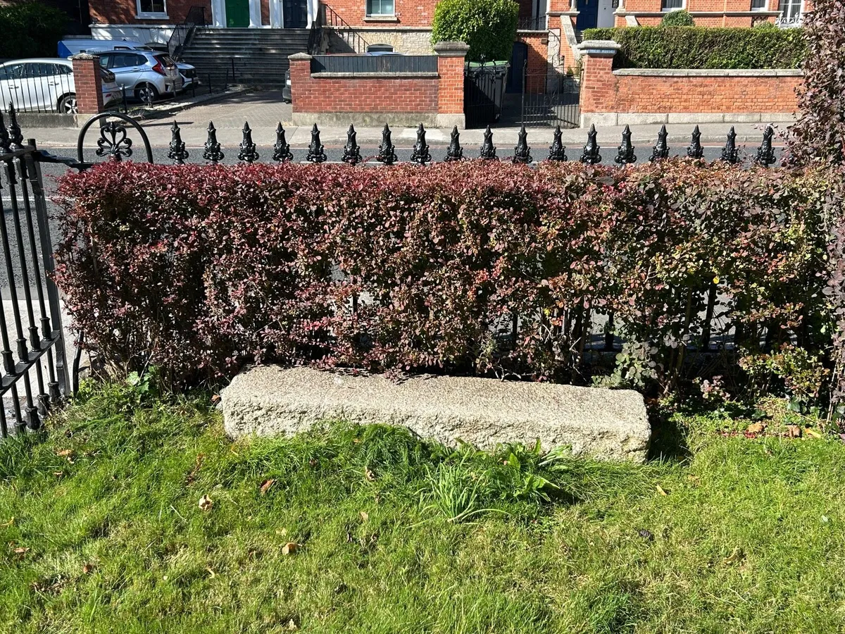 Antique granite plinth - Image 1