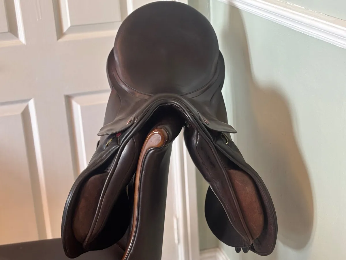 Saddle - Image 3