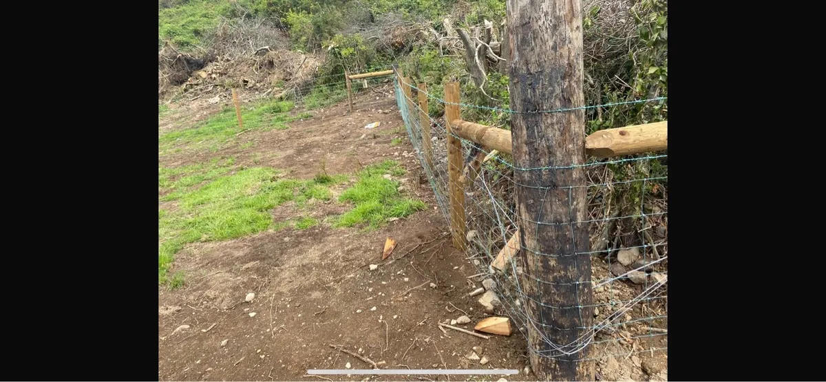 Fencing contractor - Image 3