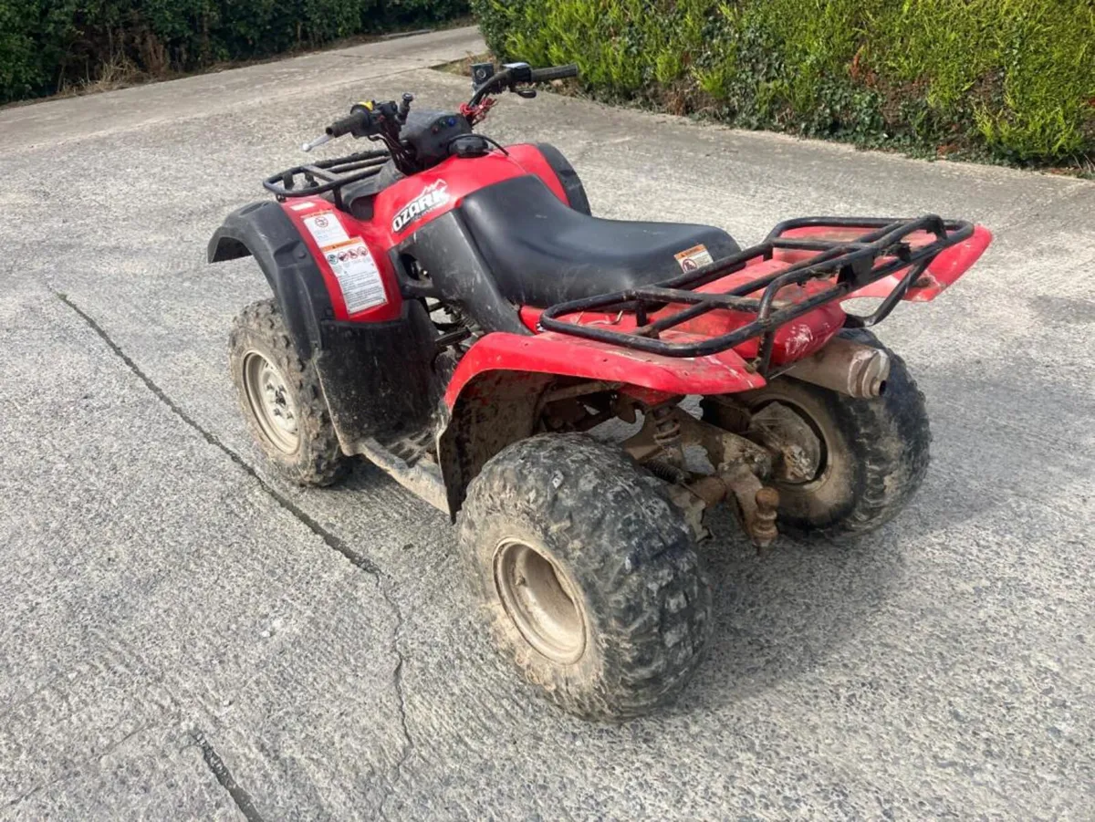 Suzuki Ozark 250 Farm Quad **Online Auction** - Image 4