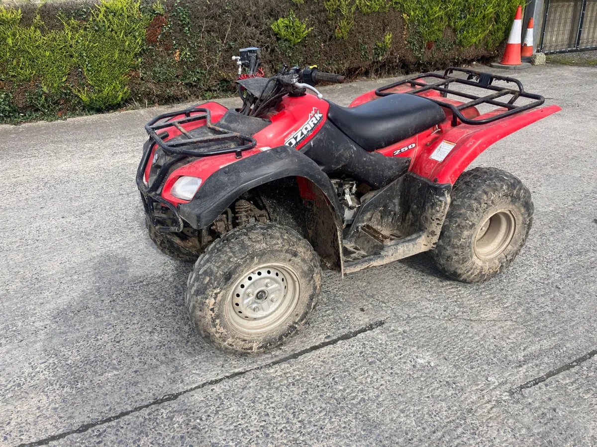 Suzuki Ozark 250 Farm Quad **Online Auction** - Image 1