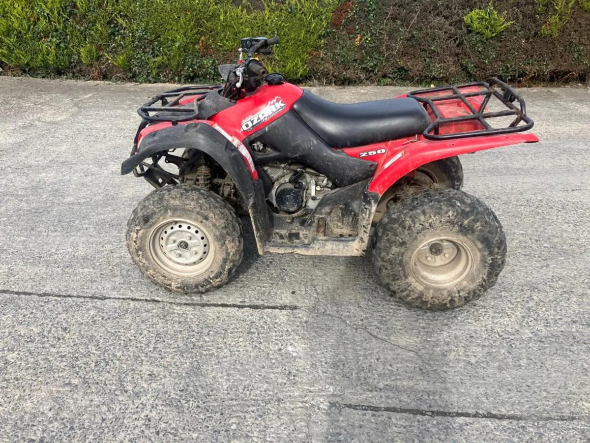 Suzuki Ozark 250 Farm Quad **Online Auction** - Image 3