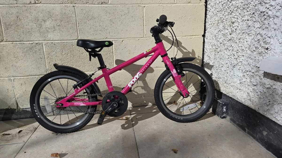 Frog Bike 44' - Image 4