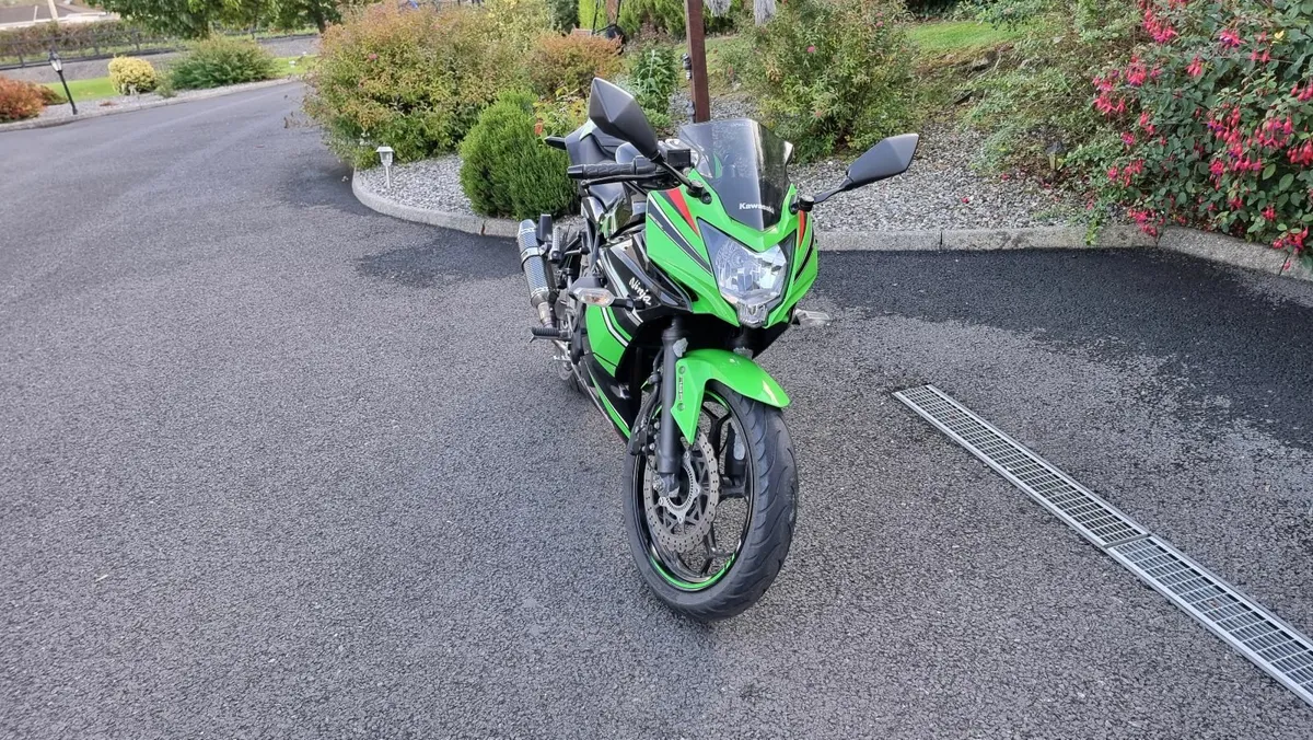 Kawasaki Ninja 250 SL - Image 4