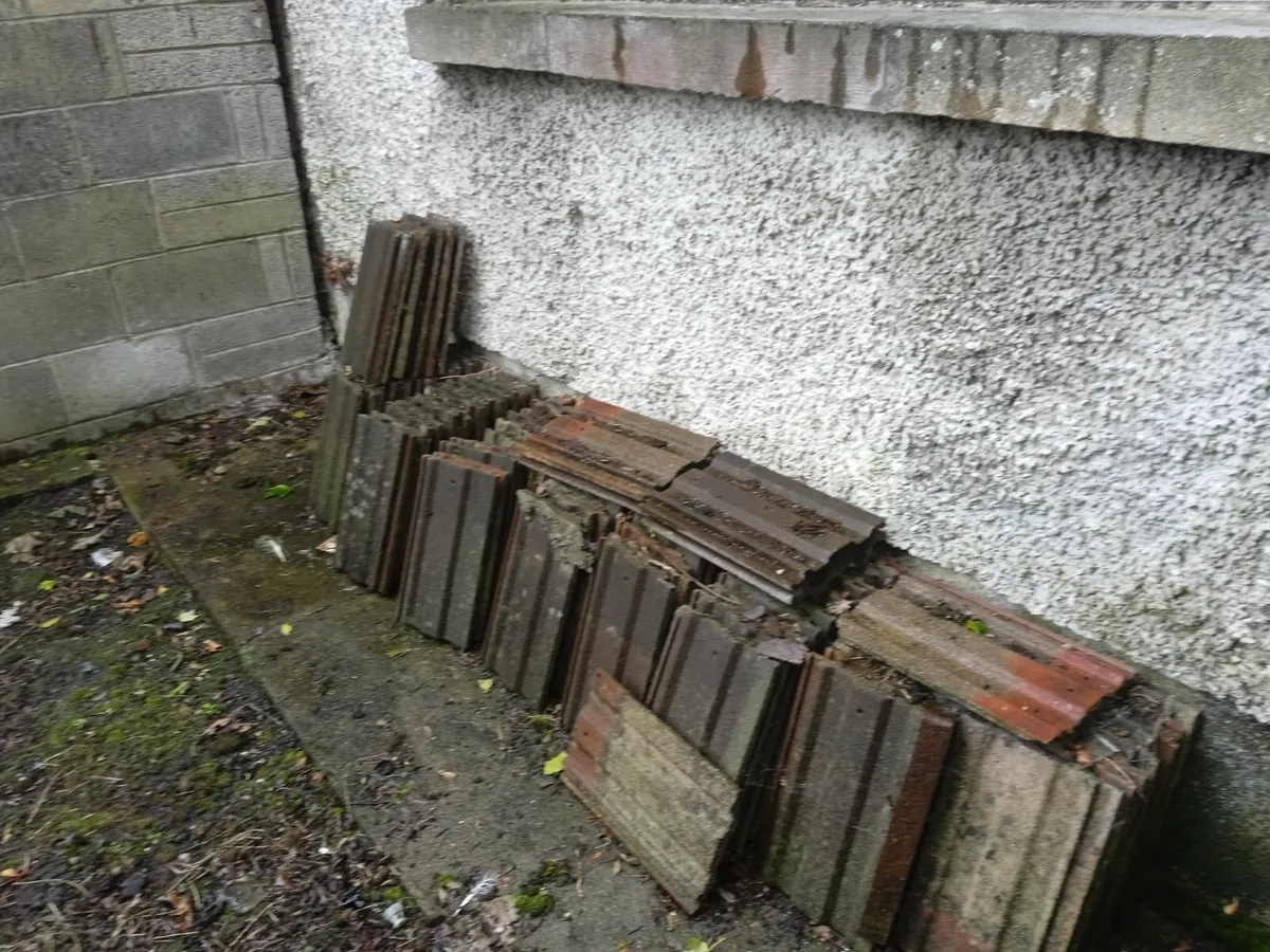 Roof tiles - Image 2