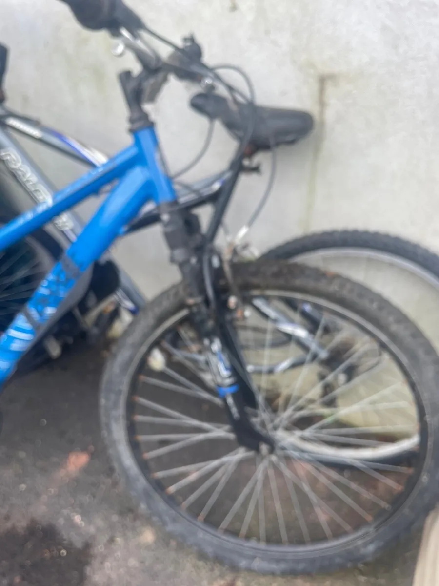 Bicycle - Image 2