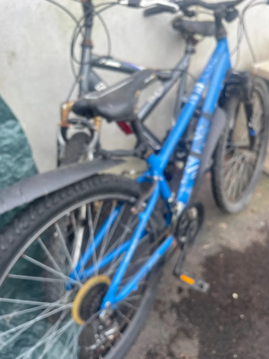 Bicycle - Image 3