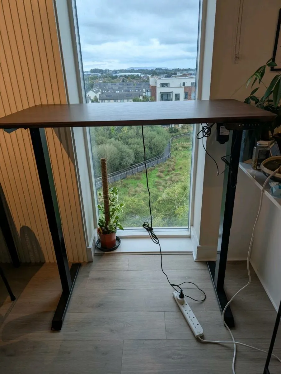 Electric Standing Desk - Image 2