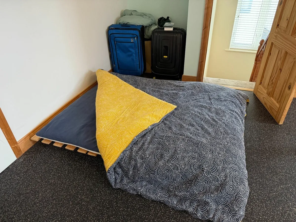 Sofa Bed (D15) - Image 2