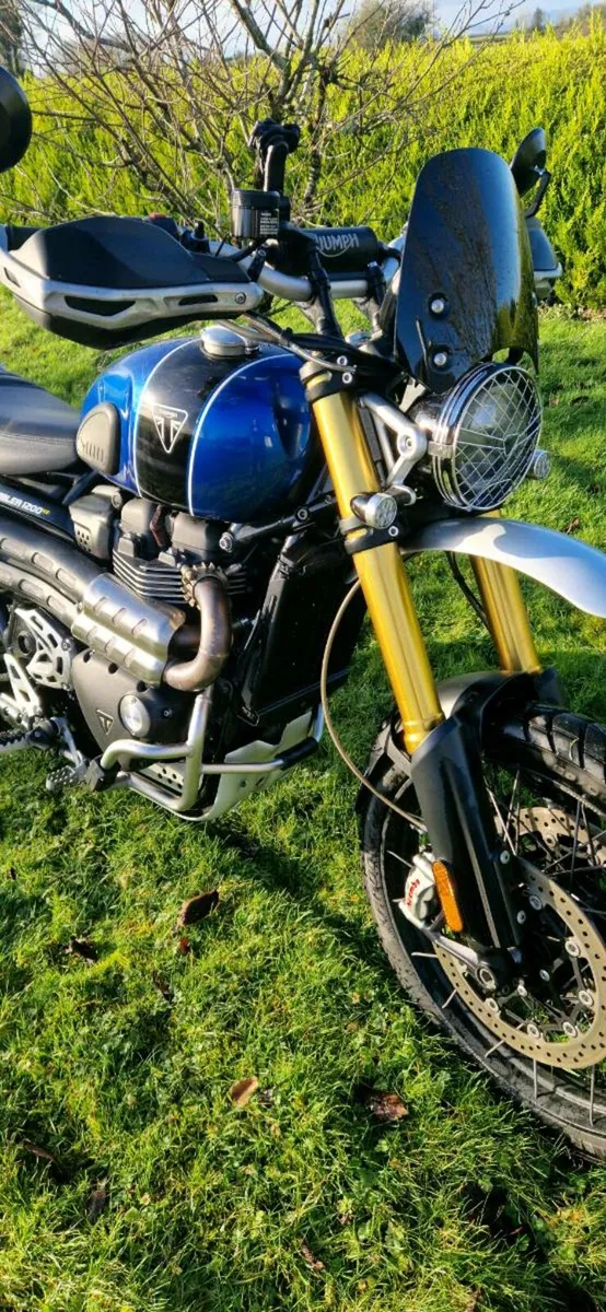 Triumph Scrambler 1200 XE - Image 2