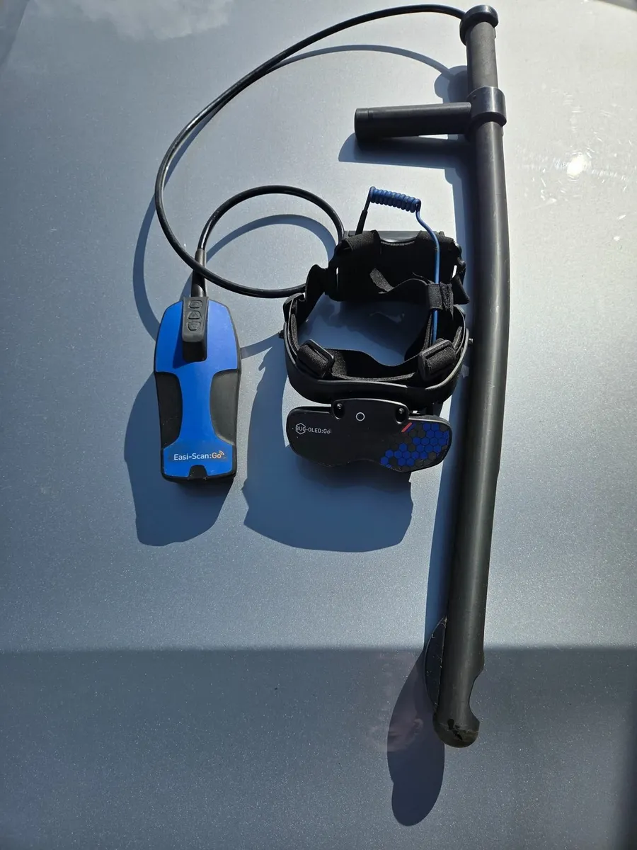 Cow ultrasound scanning - Image 2