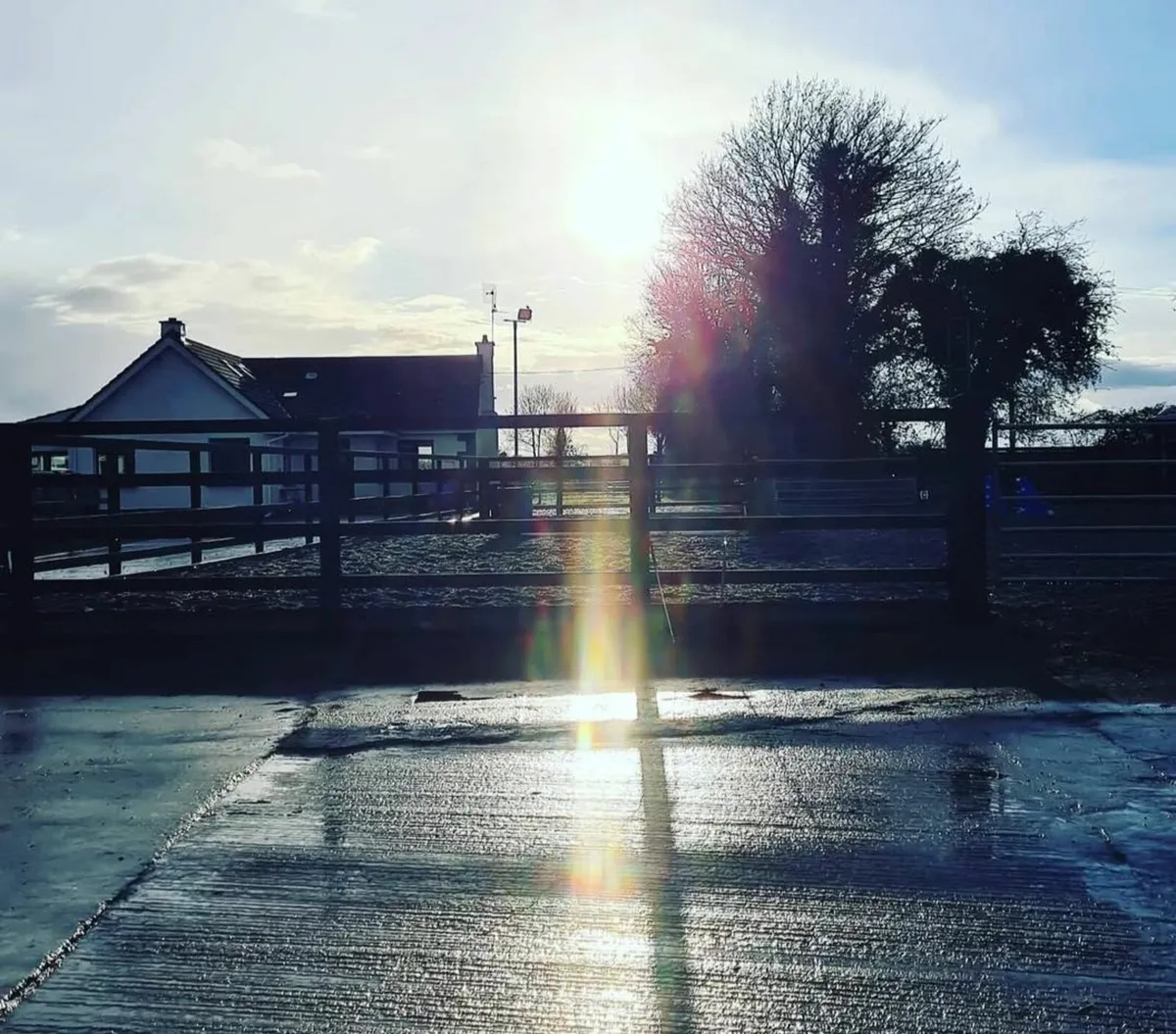 EQUESTRIAN YARD FOR LEASE Co.Offaly - Image 3