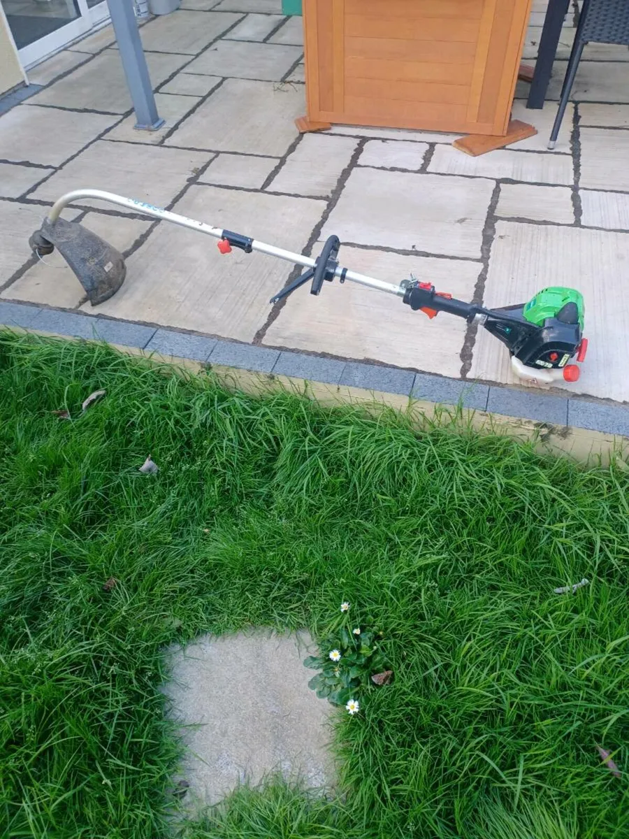 Strimmer for sale - Image 3