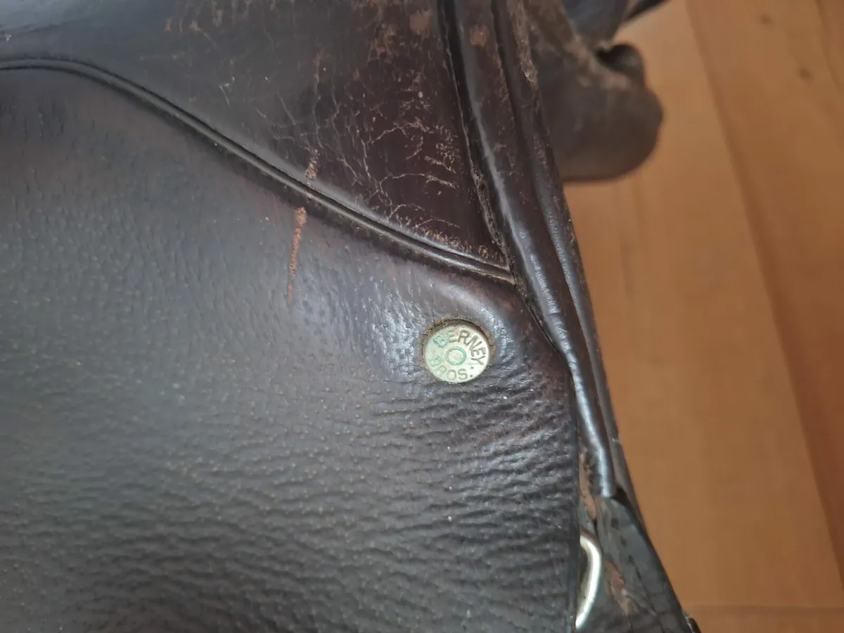 Saddle - Image 2