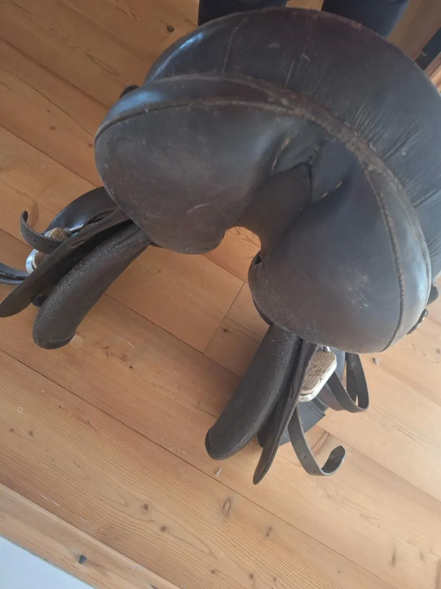 Saddle - Image 3